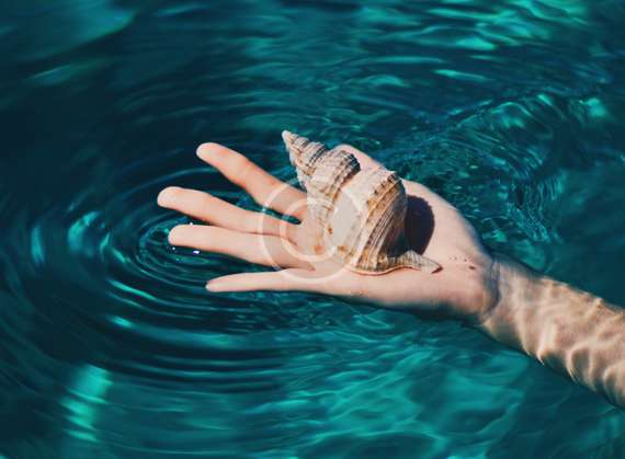 personal & political